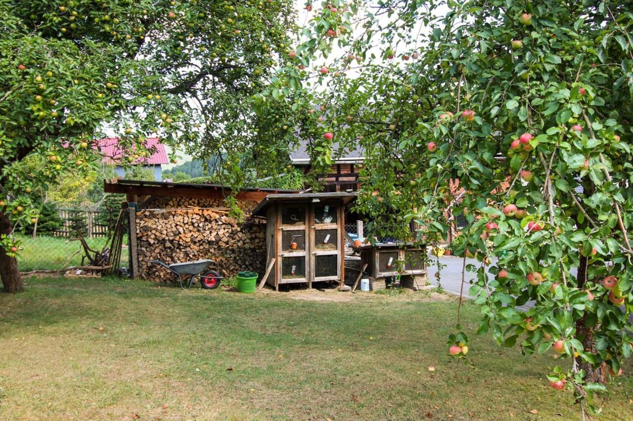 Haus Sonnenwalde - Familie Ruhe Hotel Rohrbach  Luaran gambar