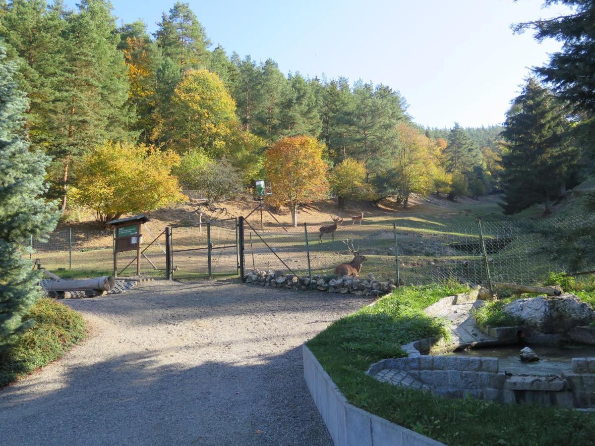 Haus Sonnenwalde - Familie Ruhe Hotel Rohrbach  Luaran gambar